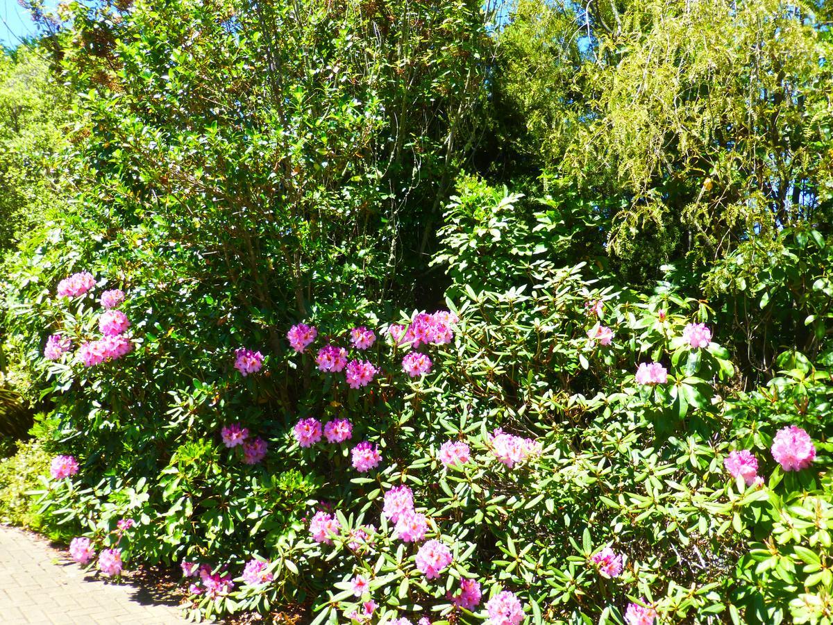 Acacia Heights Gardens Villa Taupo Exterior photo